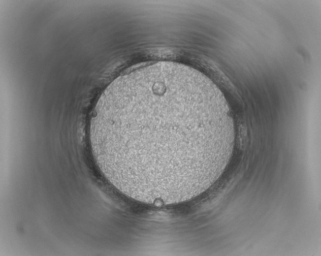 X0000115030259200911161513