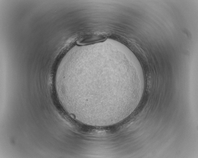 X0000115030260200911161513