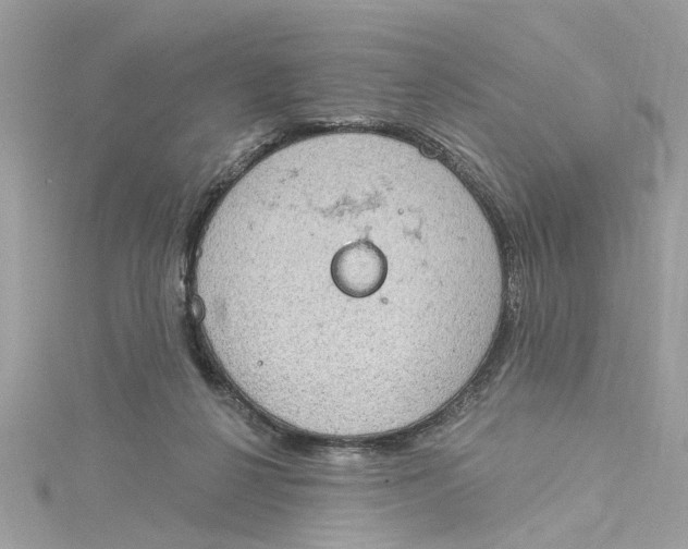 X0000115030264200911161513