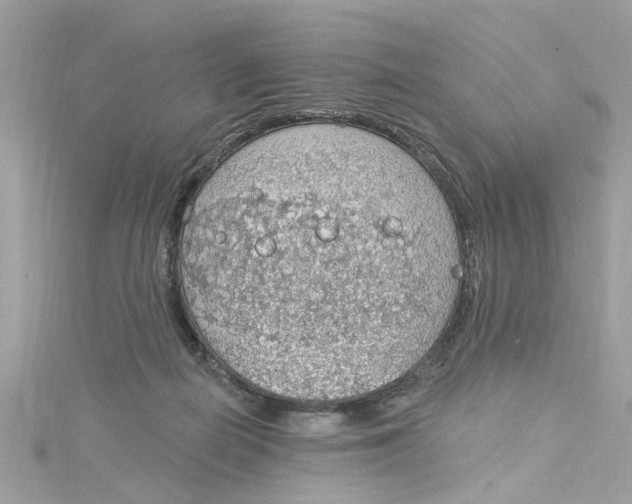 X0000115030266200911161513