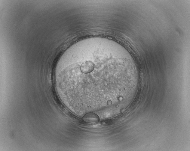 X0000115030267200911161513