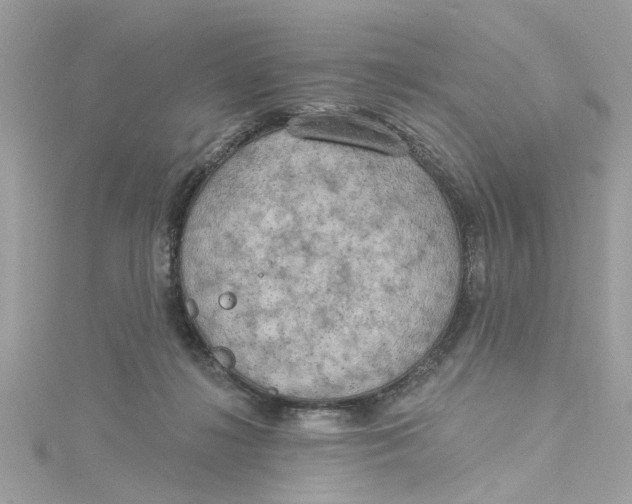 X0000115030268200911161513