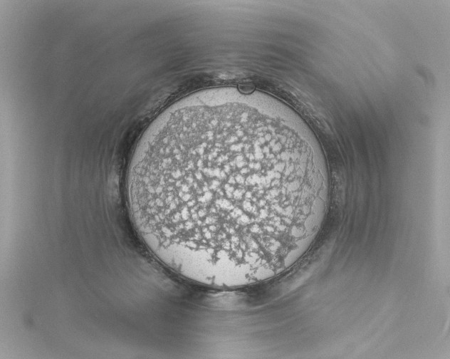 X0000115030269200911161513