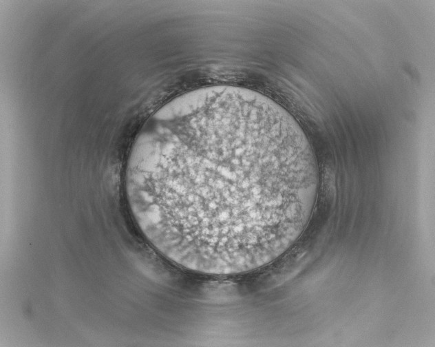 X0000115030271200911161513