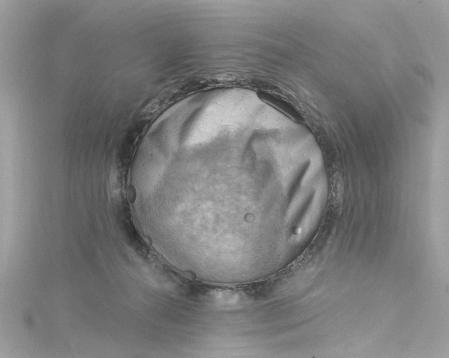 X0000115030272200911161513