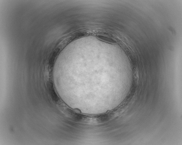 X0000115030276200911161513