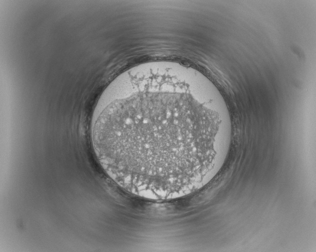 X0000115030277200911161513