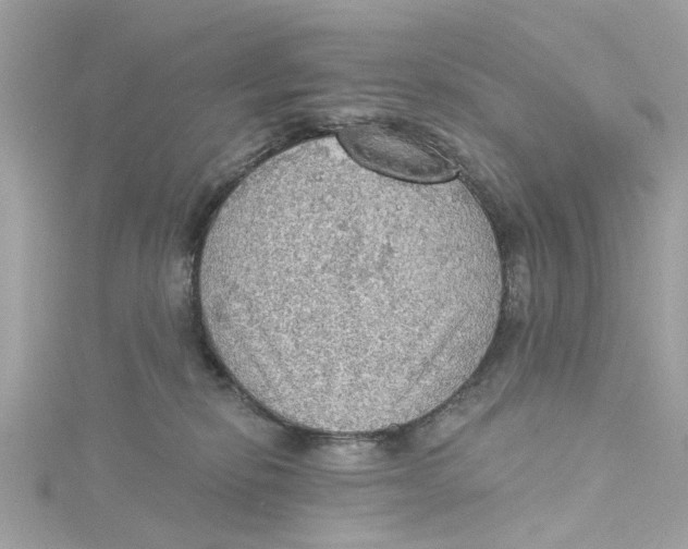 X0000115030278200911161513