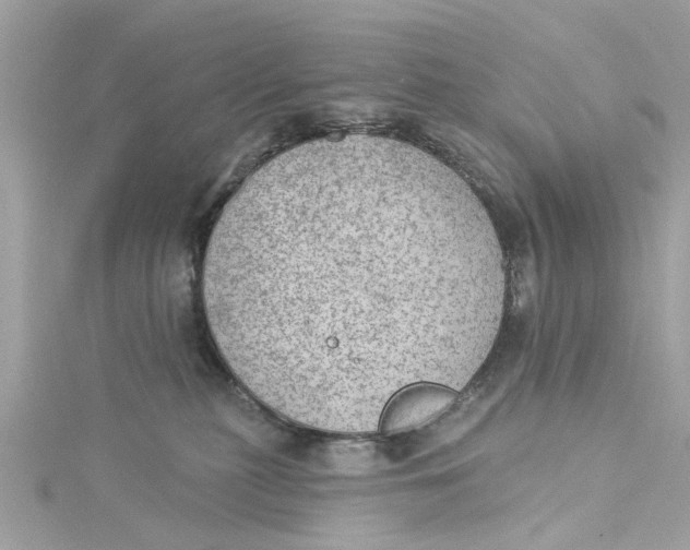 X0000115030279200911161513