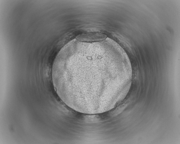 X0000115030281200911161513