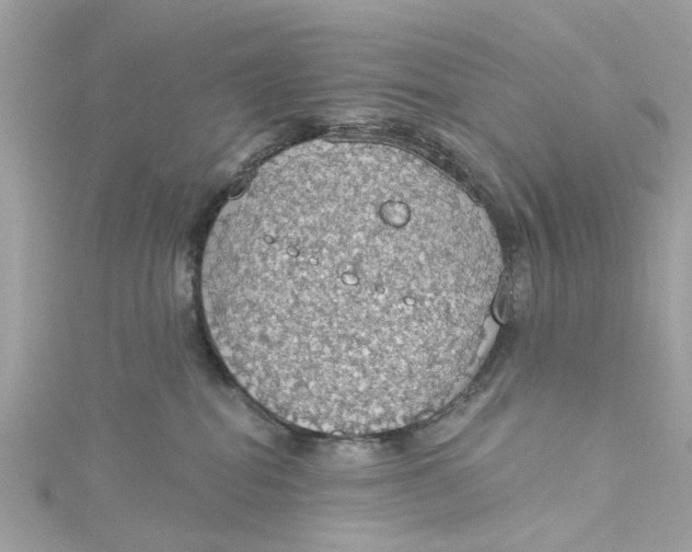 X0000115030282200911161513