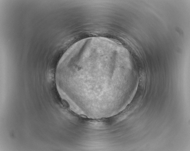 X0000115030284200911161513