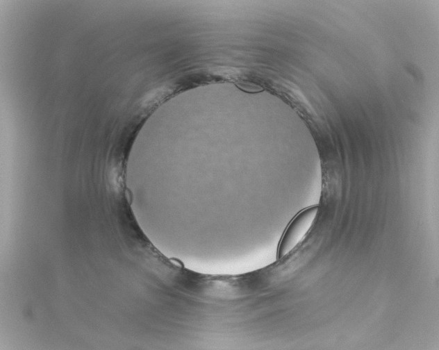 X0000115030285200911161513