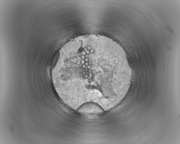 X0000115030286200911161513