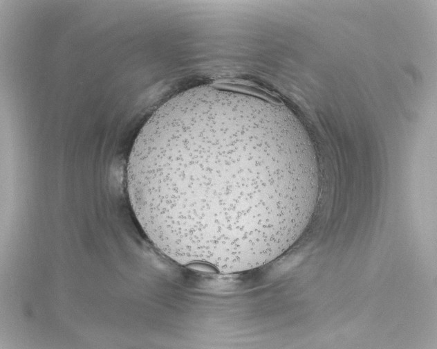 X0000115030288200911161513