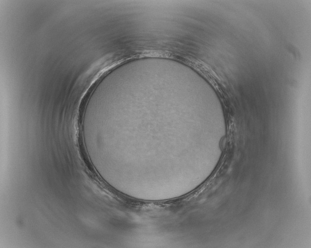 X0000115030290200911161512