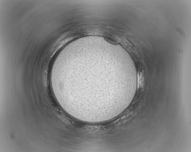 X0000115030291200911161512