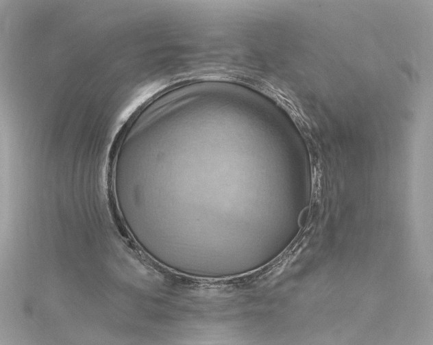 X0000115030292200911161512