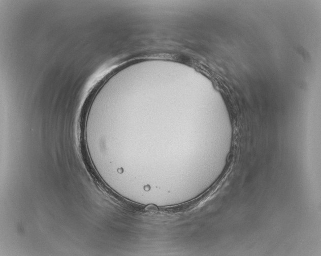 X0000115030294200911161512