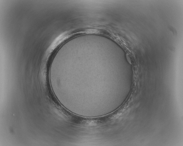 X0000115030295200911161512