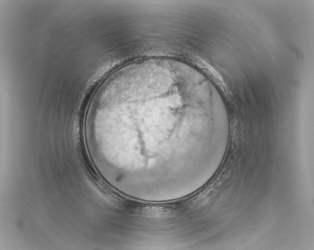 X0000115030298200911161512