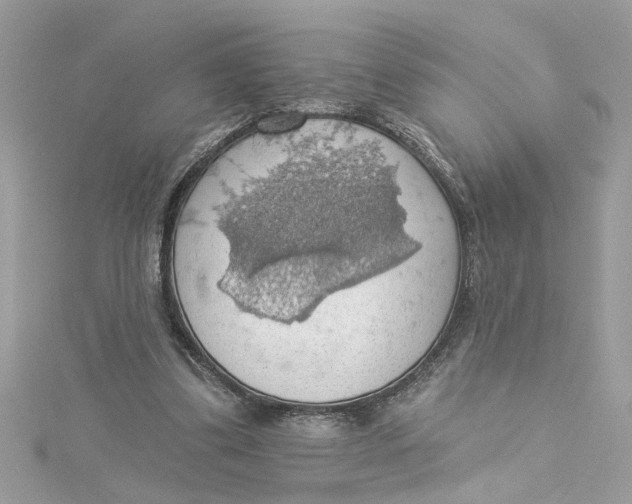 X0000115030299200911161512