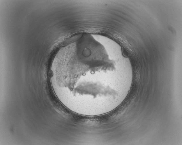 X0000115030303200911161512