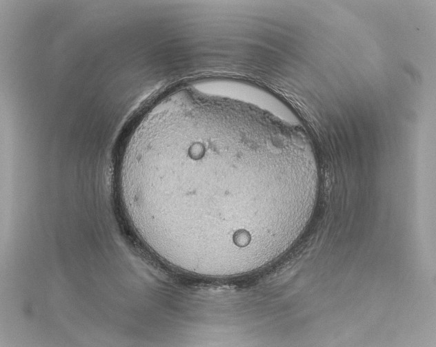 X0000115030304200911161512