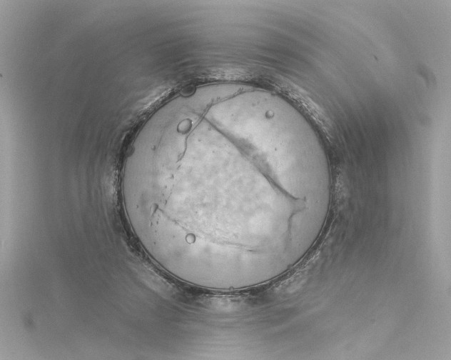 X0000115030305200911161512