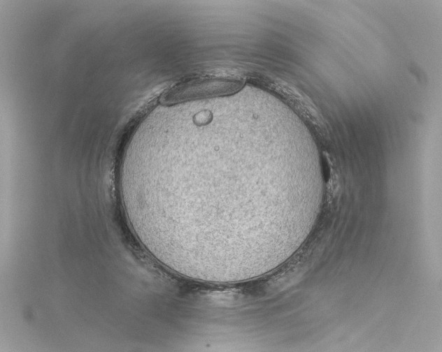 X0000115030306200911161512