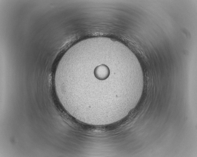 X0000115030308200911161512