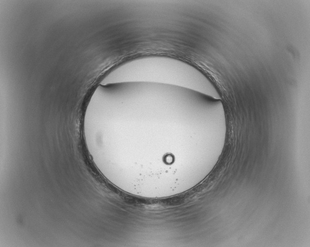 X0000115030309200911161512