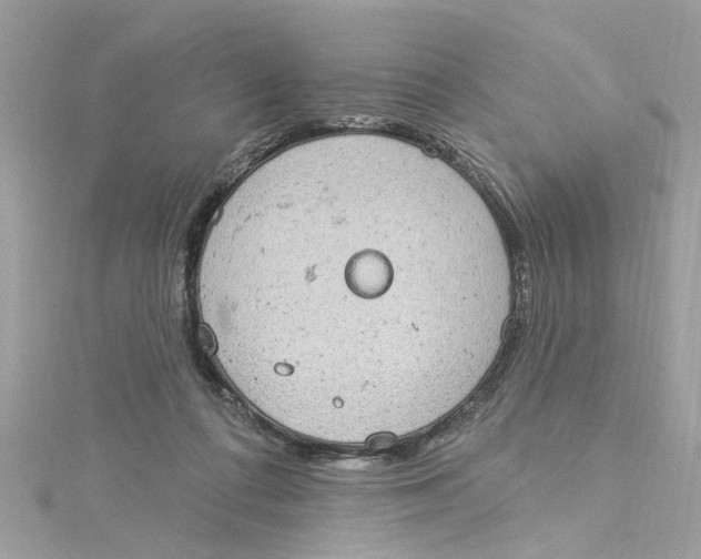 X0000115030312200911161512