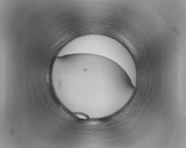 X0000115030313200911161512