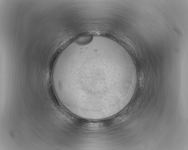 X0000115030314200911161512