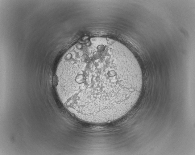 X0000115030315200911161512