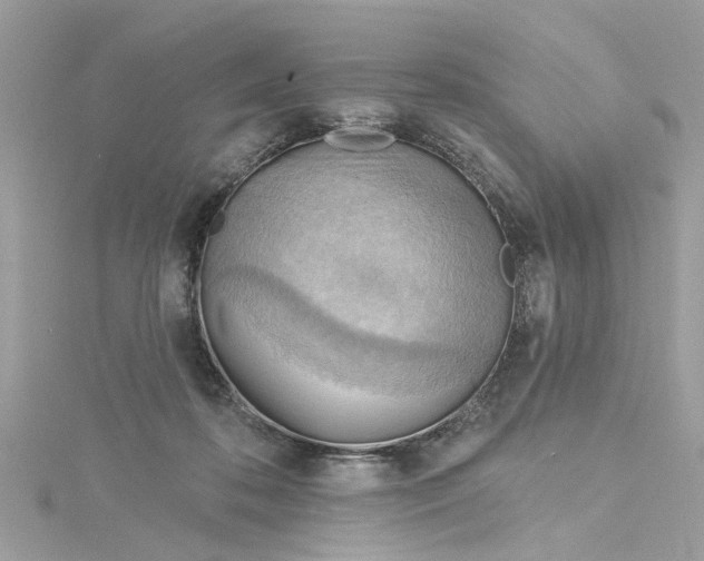 X0000115030316200911161512