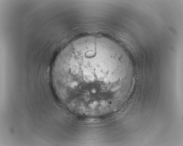 X0000115030319200911161512