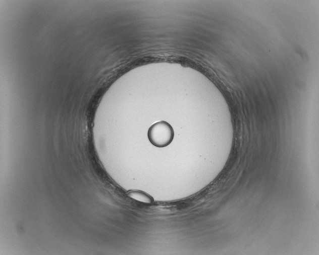 X0000115030320200911161512