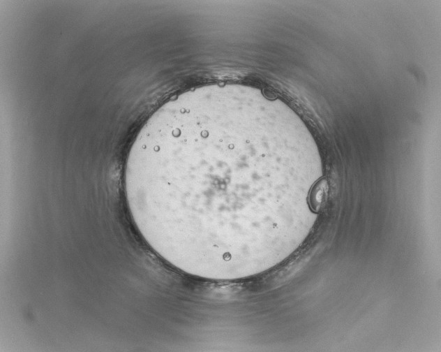 X0000115030321200911161512