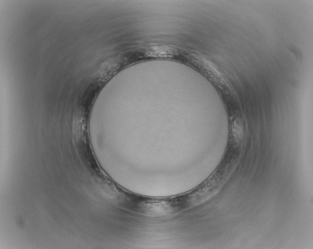 X0000115030322200911161512