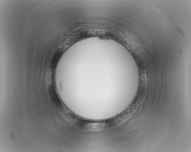 X0000115030323200911161512