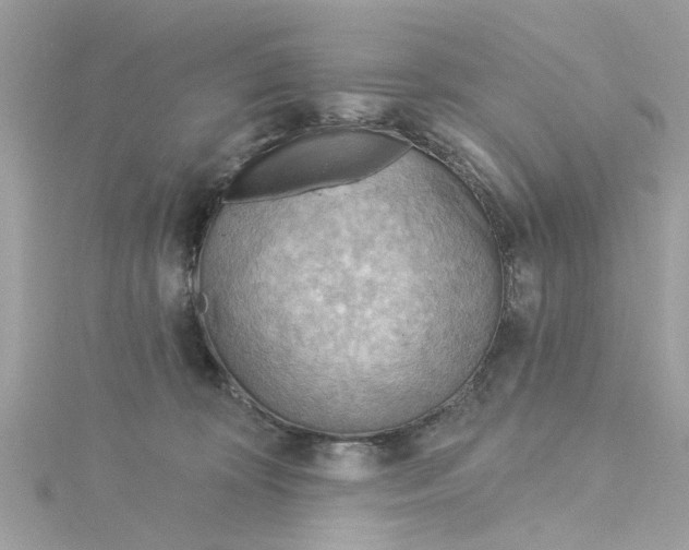 X0000115030324200911161512