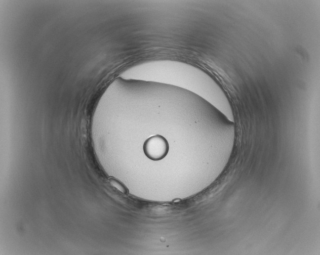 X0000115030325200911161512