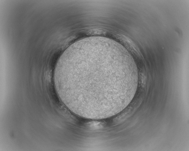 X0000115030326200911161512