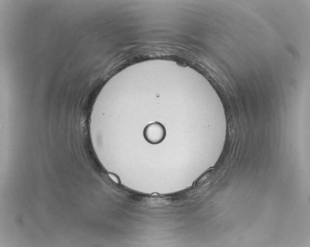 X0000115030327200911161512