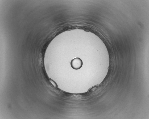 X0000115030328200911161512