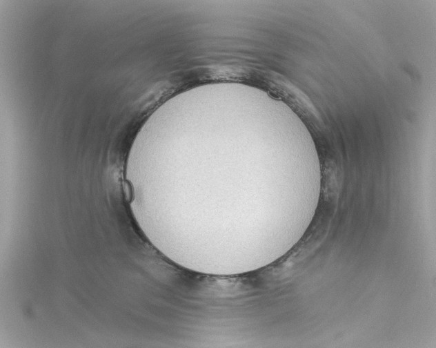 X0000115030329200911161512