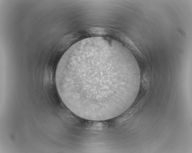 X0000115030330200911161512