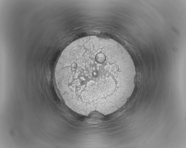 X0000115030331200911161512